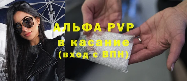 spice Верея
