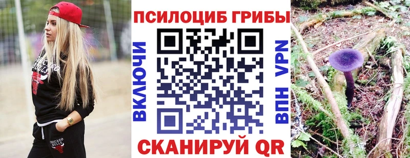 МЕГА ссылка  цены   Вышний Волочёк  Галлюциногенные грибы Cubensis 