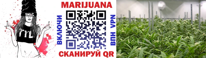 купить Вышний Волочёк Марихуана White Widow
